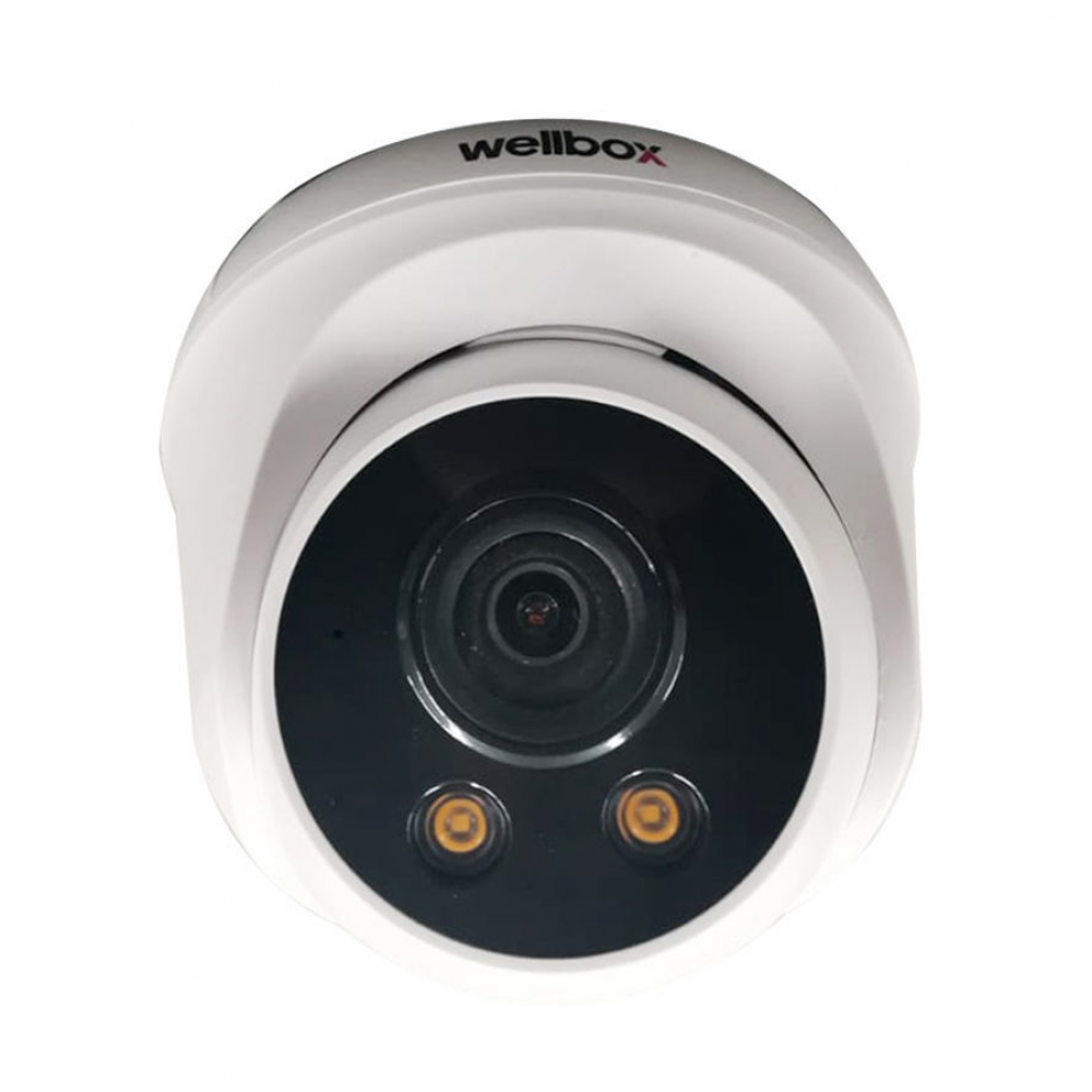 Wellbox 2mp AHD İç Mekan Dome Kamera WB-D2116P-STR