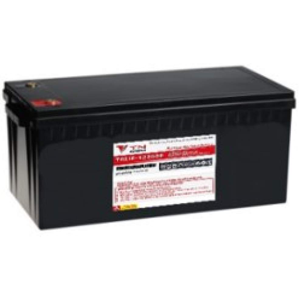 TNPOWER 12V Li-ion SERIES 12V 200Ah