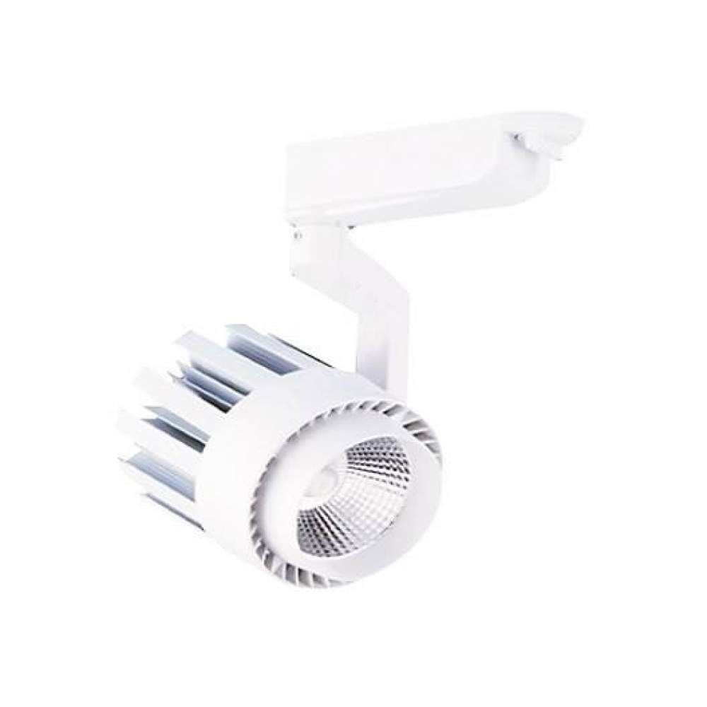 30W Led Ray Spot Beyaz kasa- Günışığı