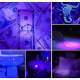 Ultraviyole 18 Wat Mor Işık / Blb 18 W Floresan Ampul Lamba Seti